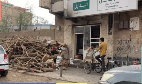 أزمة الغاز المنزلي تفاقم الاحتطاب الجائر في اليمن