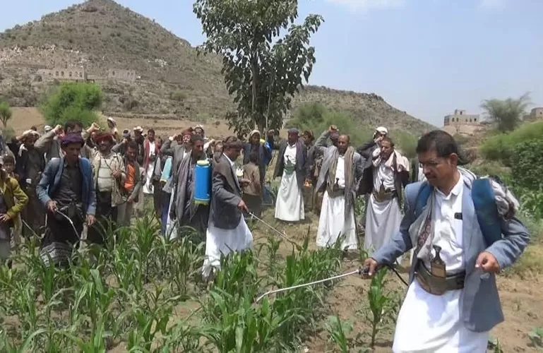 الحوثيون يغرقون اليمن بـ"مبيدات زراعية مسرطنة"