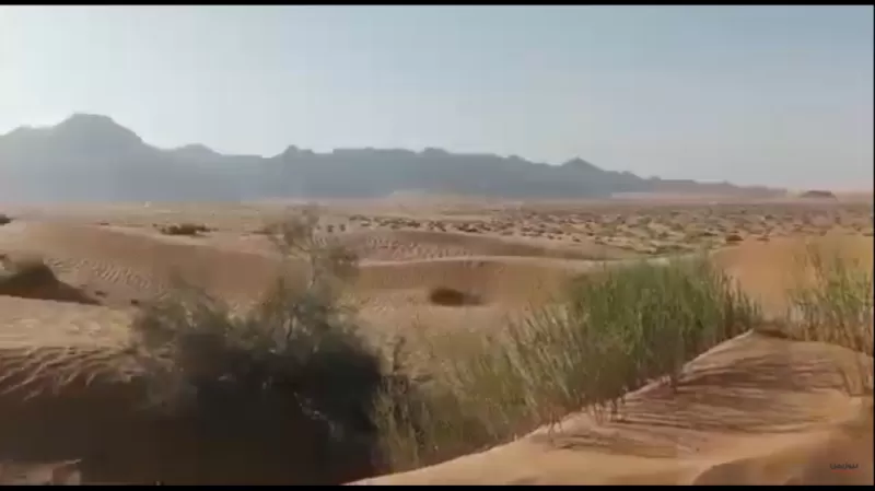 فيديو يكشف زيف معارك الإخوان في شبوة وتآمرهم مع الحوثي