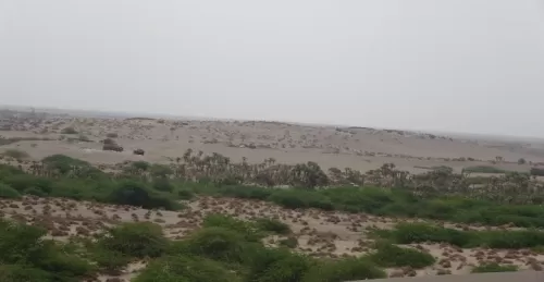 مليشيات الحوثي واصلت القصف والتصعيد في جنوب الحديدة