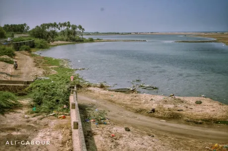 "أبو زهر" من بحيرة راكدة إلى خور ينبض بالحياة