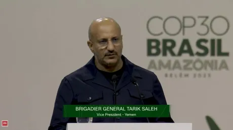 طارق صالح: عبث إيران يهدد أمن اليمن البحري والبيئي