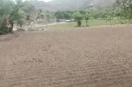سكان تعز يواجهون العطش بمياه ملوثة وسط غياب الرقابة