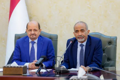 تأكيد رئاسي على أن استقرار عدن يمثل ركيزة أساسية للمرحلة المقبلة