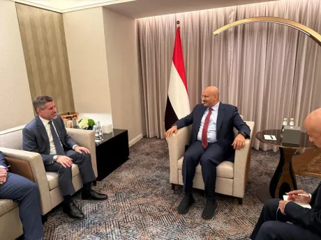 طارق صالح يبحث مع السفير الأمريكي تعزيز الشراكة ودعم الإصلاحات الاقتصادية