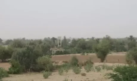 استهداف الصنعاني في مأرب.. قيادات القاعدة في مصيدة الضربات الأمريكية