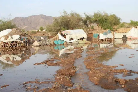 حولها الحوثيون إلى ثكنة عسكرية.. تهجير مستمر لأهالي حرض وميدي منذ 7 سنوات