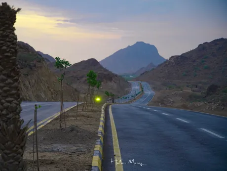 مدينة المخا.. زهرة الساحل الغربي وبوابة اقتصاد هامة لليمن